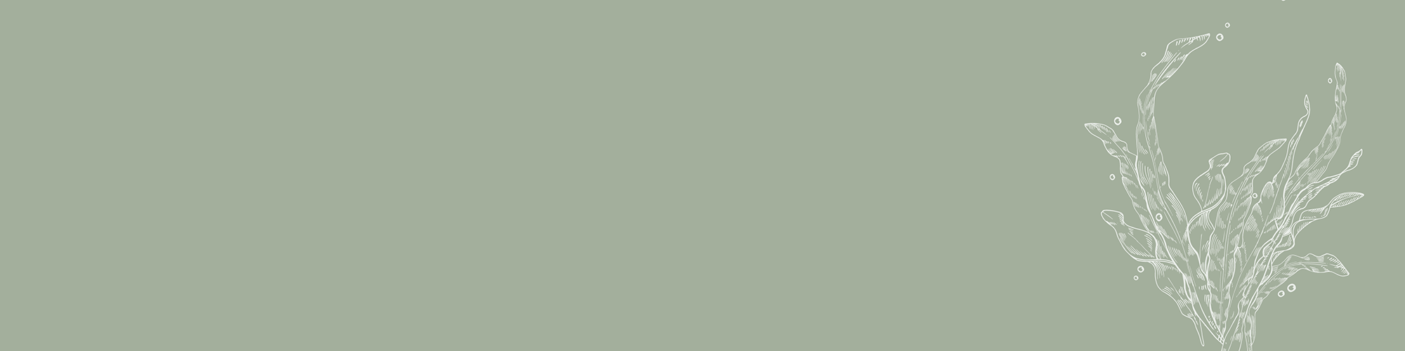 Vital Scalp