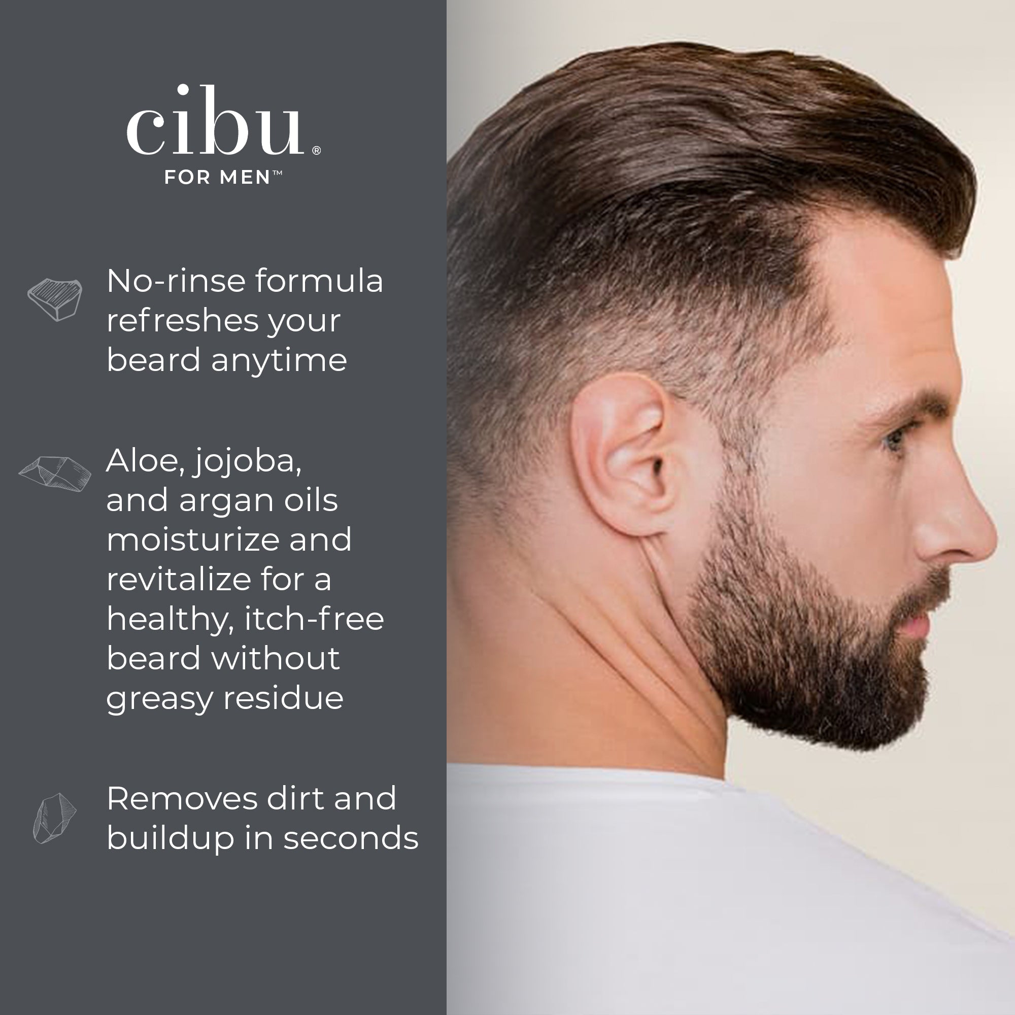 Beard Dry Foaming Cleanser